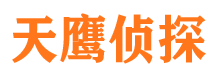 岱山侦探公司